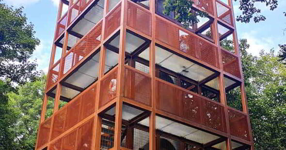 hikeling.hu - Zengő hétemeletes kilátó. az Év Kilátója 2025 nyertese