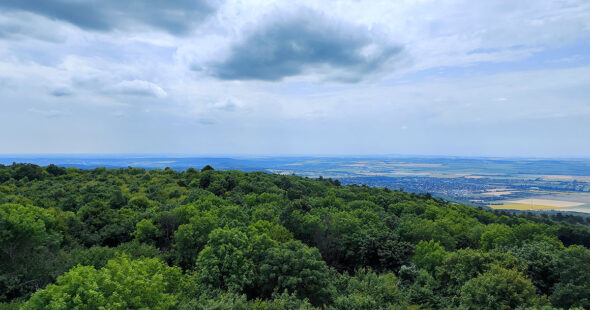 Kilátás