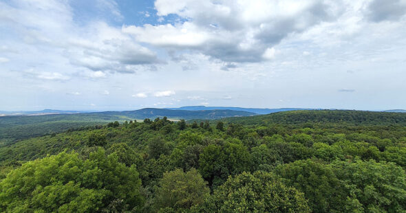 Kilátás