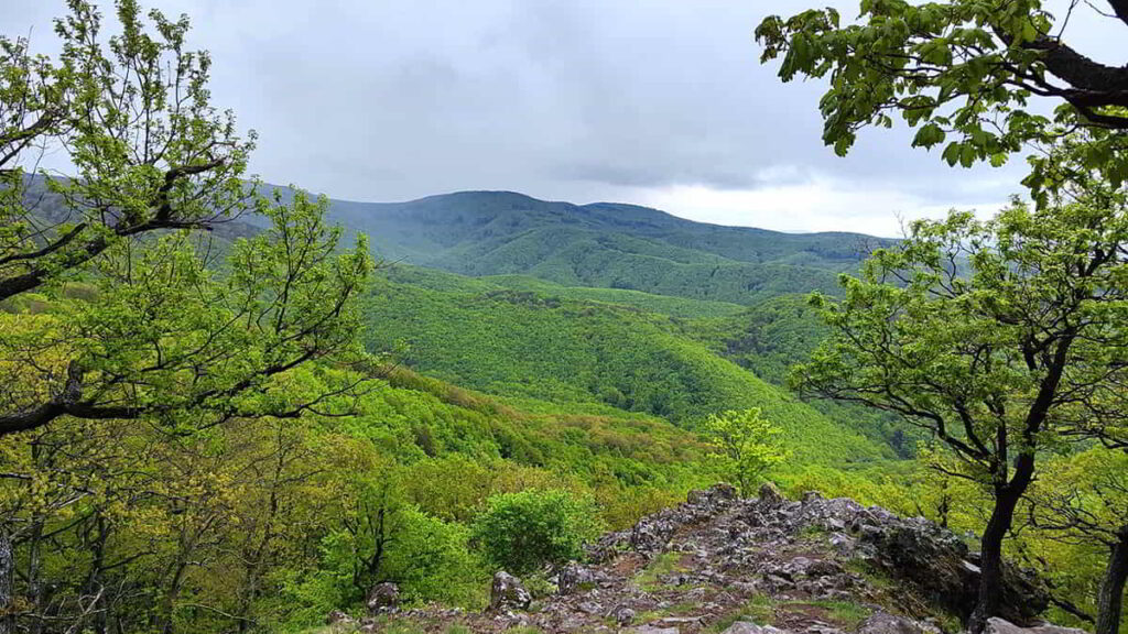 Küzdelem a Csóványosért a Sas-úton