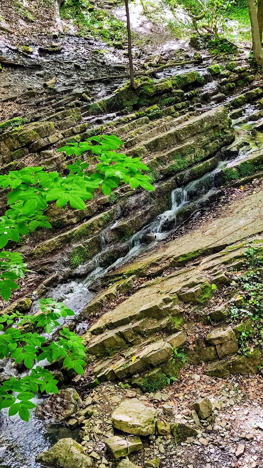 hikeling.hu - Mecsek - Ferde-vízesés