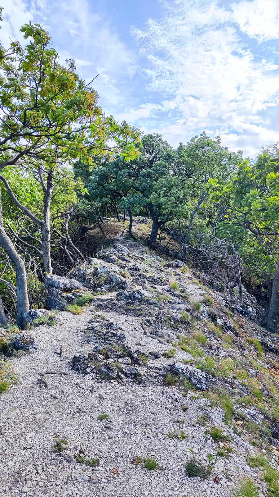 hikeling.hu - Vértes - Varga-hegy