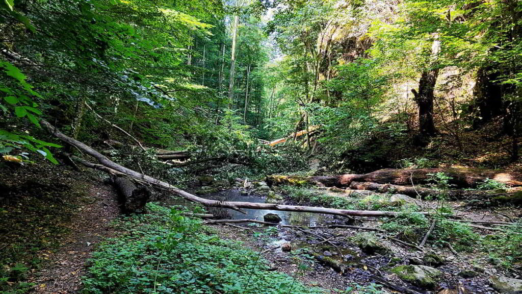 A Kerteskői-szurdok: egy vadregényes körtúra
