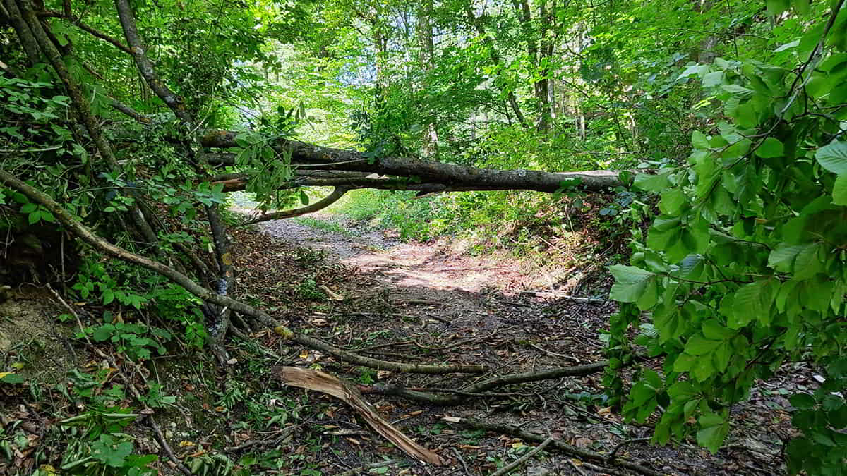hikeling.hu - A Fehér-kő-árok bevezető szakasza
