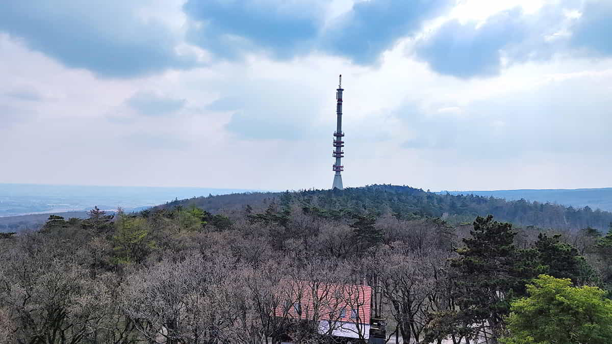 Kilátás a TV-torony felé